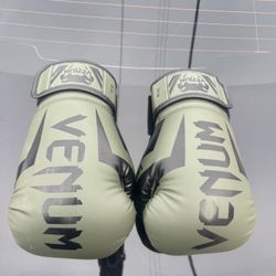 Venom Boxing Gloves 
