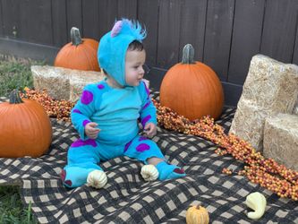 Sully Baby Costume