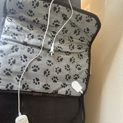 Cat Supplies 