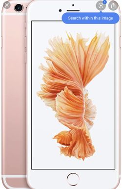 Verizon iPhone 6 plus rose gold