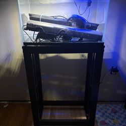 10 Gallon Fish Aquarium w/ stand and supplies