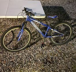 Trek MT 220 MT220 mountain bike bicycle boys