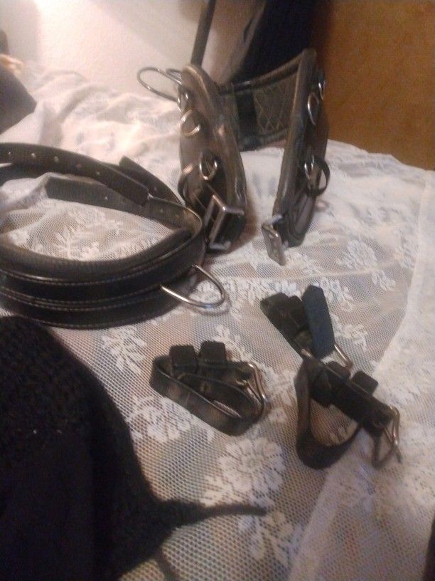 Horse Equipment Collar, Fly Veil And More
