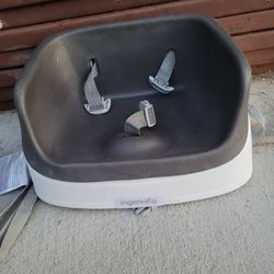 Ingenuity Booster Seat