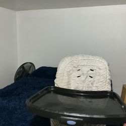 Children’s Dining Chair