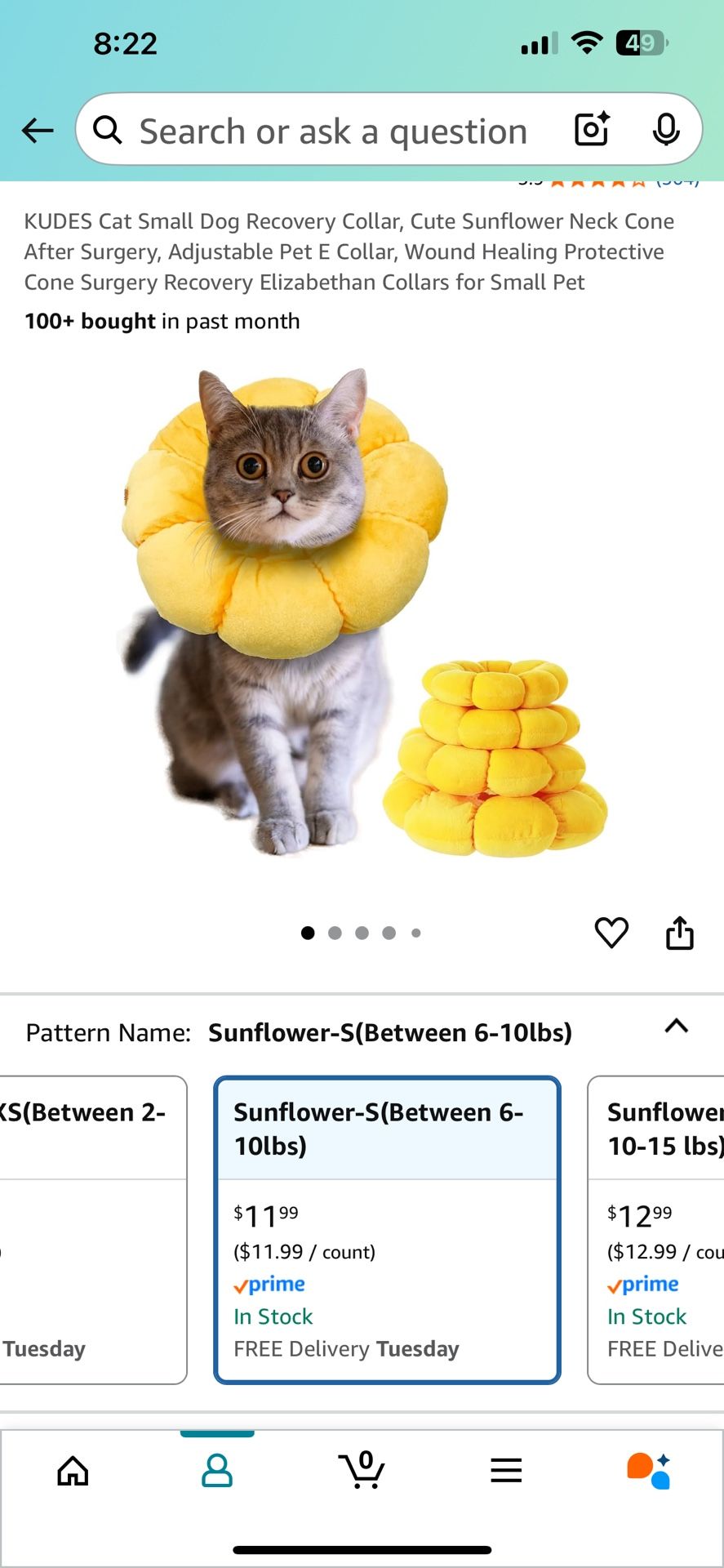 Small Cat/dog Recovery Collar/Neck cone