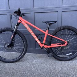 Specialized Bike