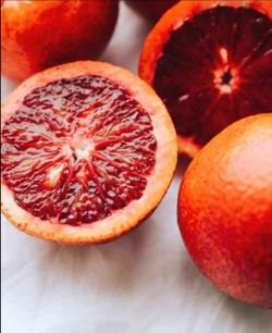 Organic Blood Orange Tree
