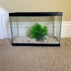 5 Gallon Fish Tank