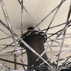 Gsport 48 Hole Female Front 