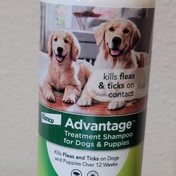 Dog Shampoo