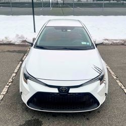 Toyota Corolla LE 2020