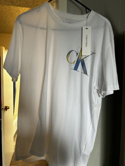 Men Shirt Large