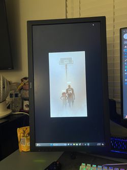 BenQ Monitor