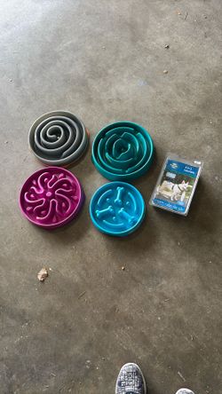 Big dog bowls, and harness