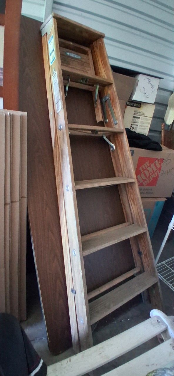 6ft Ladder