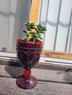 Red Embossed Glass Goblet with Succulent