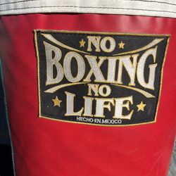 Professional Punching Bag Echo En Mexico Boxing Club