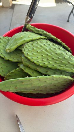 Nopales$3