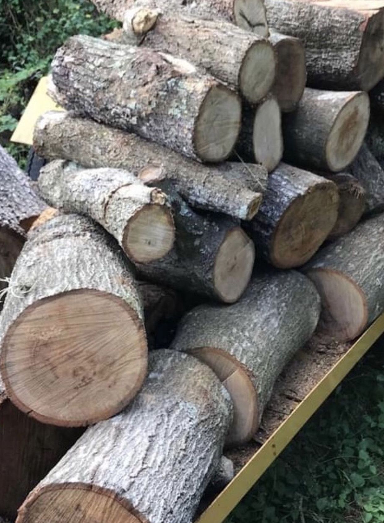 Firewood