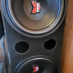 2 15 Inch Subwoofer Punch