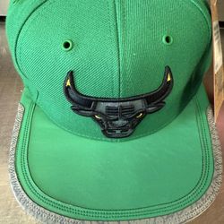 Mens Bulls Hat