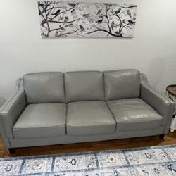 Hydeline Leather sofa