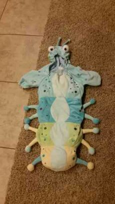 0-9m Caterpillar Costume