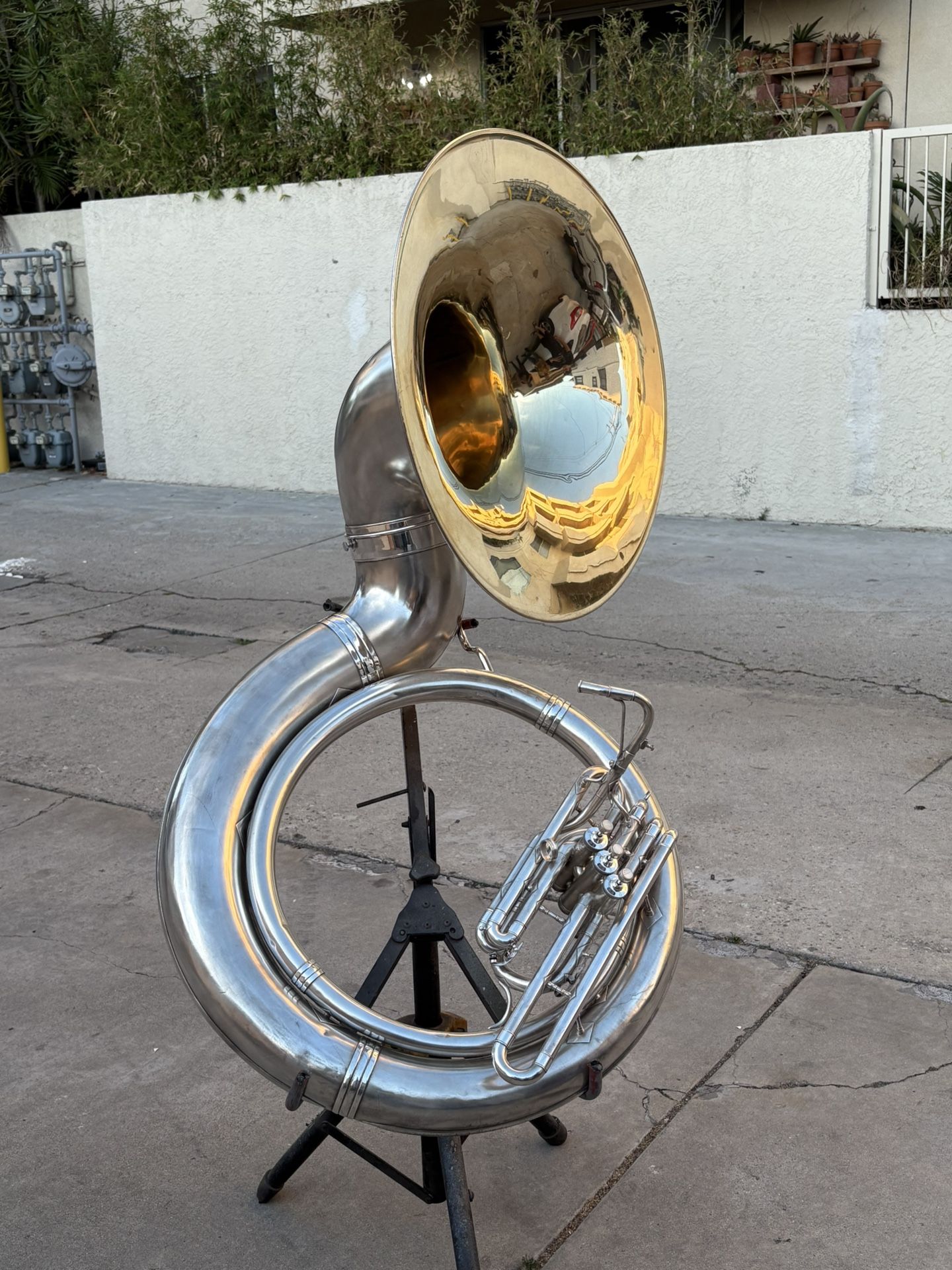Tuba King Jumbo