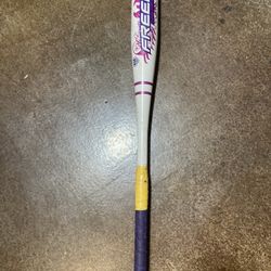 Softball Bat 27 Inch North Peoria 