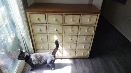 Wood Apothecary-Style Cabinet