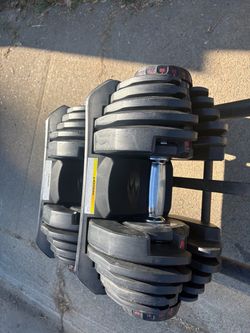 Bowflex weights and stand
