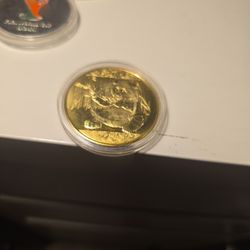 Panda Bear Coll Coin