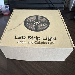 LED Lights 