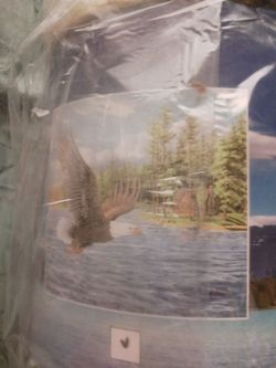 Eagle Lake Scene Decorative Print