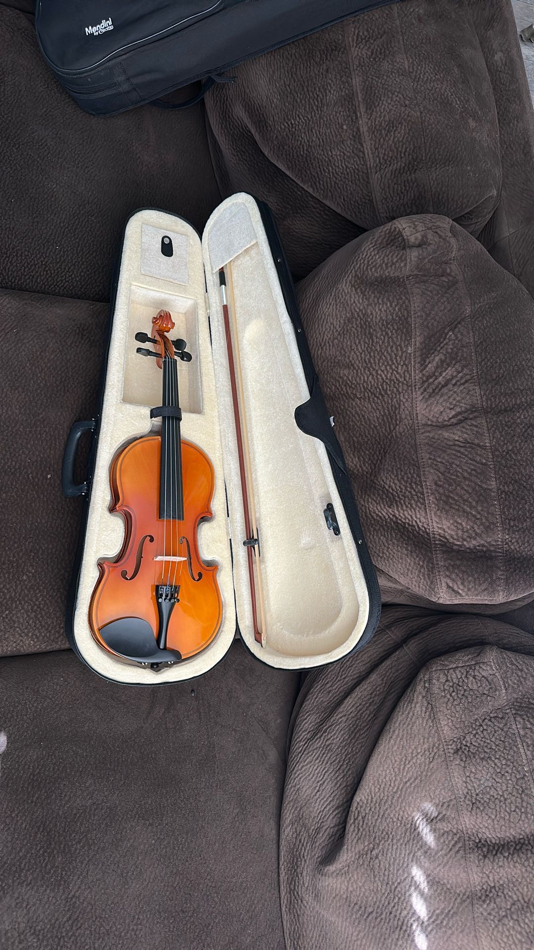 Violin