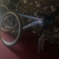 Diamondback Bike LUX