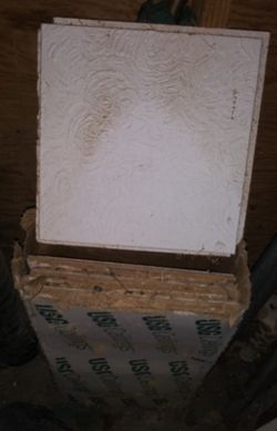 USG 12x12 Ceiling Tile