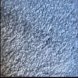 New Carpet 