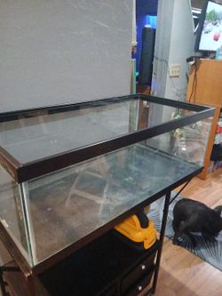36 gallon tank for reptiles