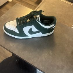 8.5 Nike dunks
