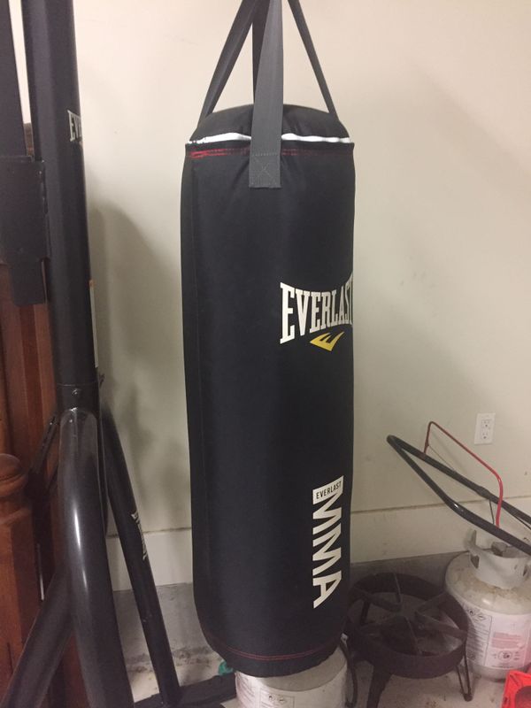 Everlast Boxing Stand Speed Bag Literacy Basics