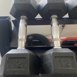 12lbs Dumbbell Set