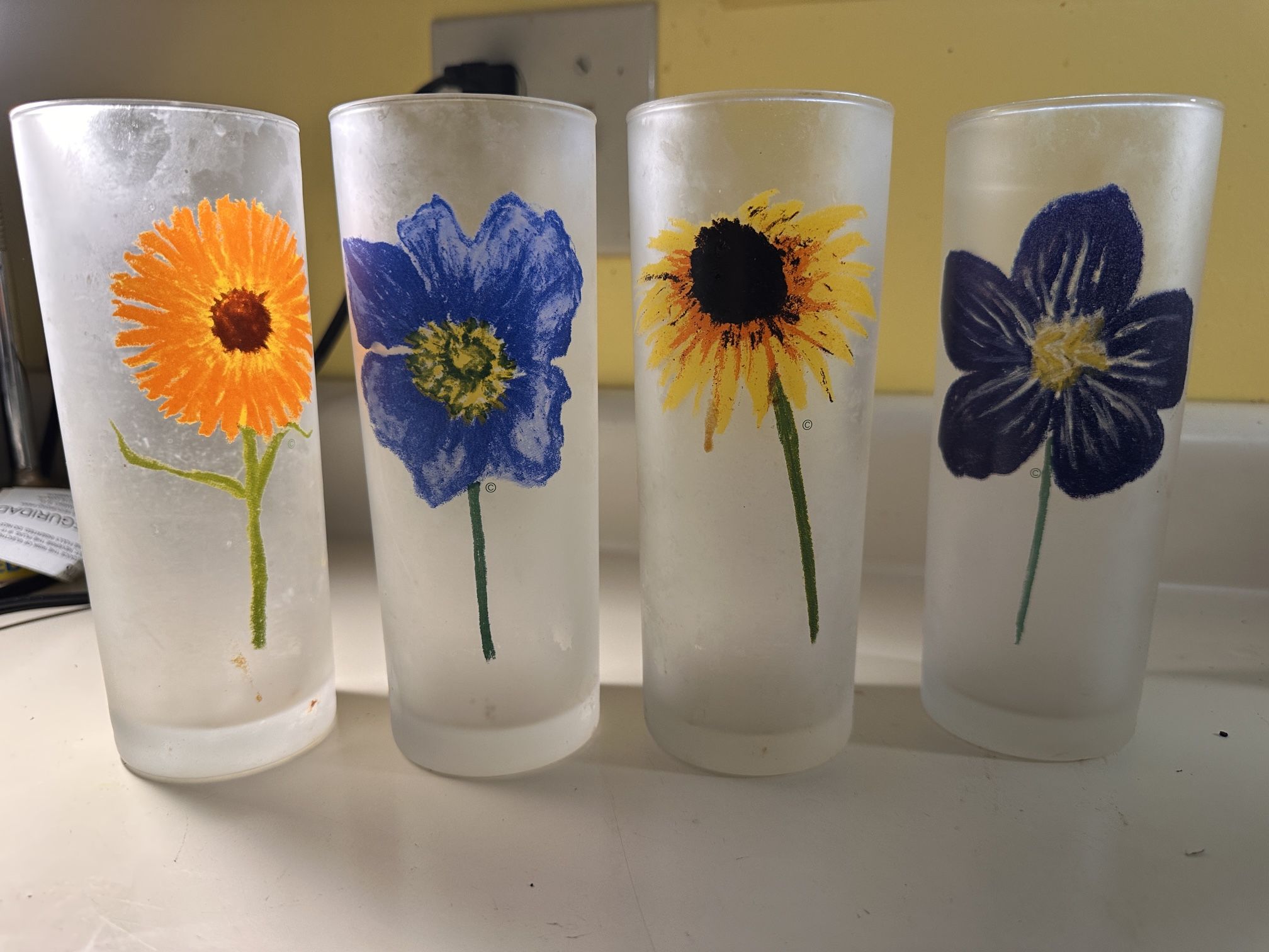 Frosted Glasses - Flowers