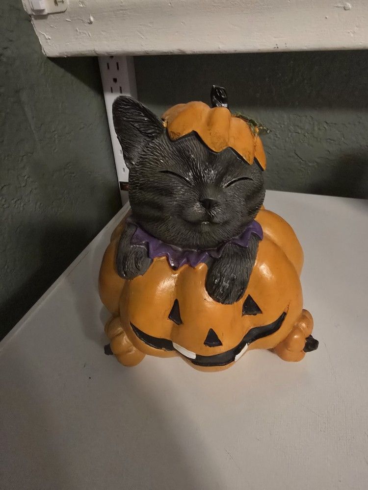 Cat In Pumpkin Decor
