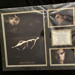 Twilight Saga New Moon Framed Poster Collage