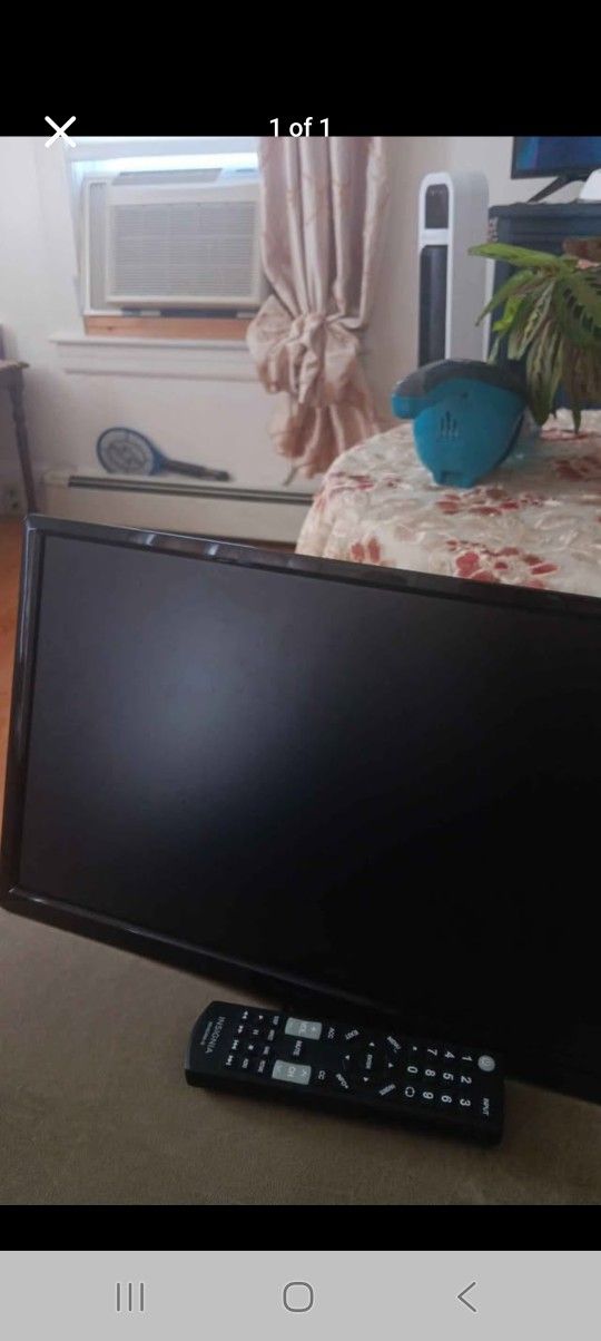 19 Inch Insignia Television 
