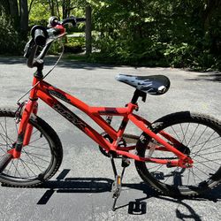 20 Inch Kids Bike