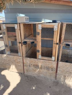 Casas para pollos