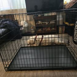 XL Dog Cage 